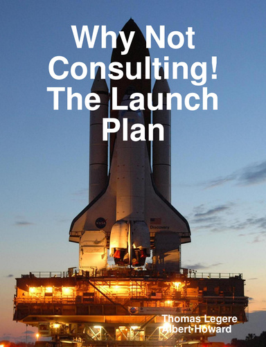 Why Not Consulting! The Launch Plan