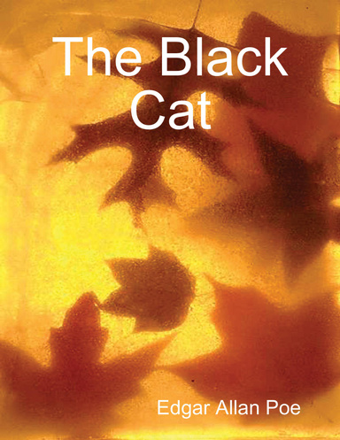 The Black Cat