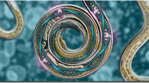 Paper 1 - LUCID Quantum Computer - Reprogramming Consciousness for a Connected Generation