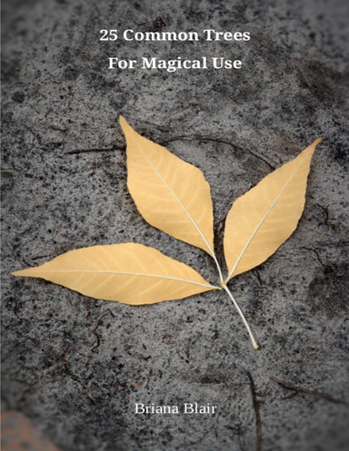 25 Common Trees for Magical Use