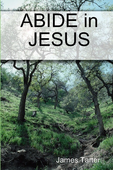 ABIDE in JESUS
