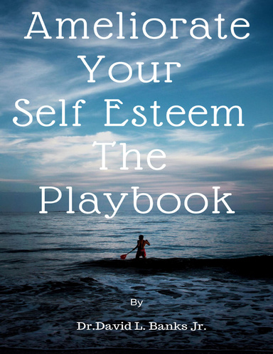 The Playbook