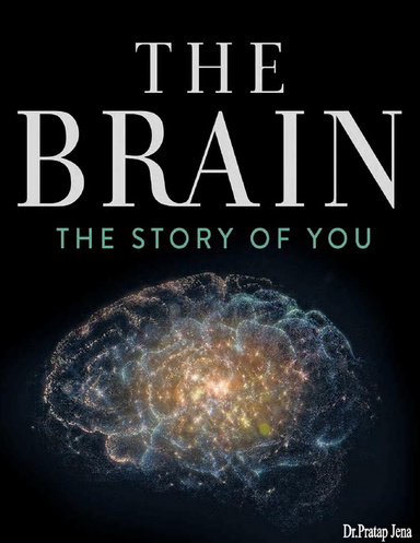 The Brain the Story of You