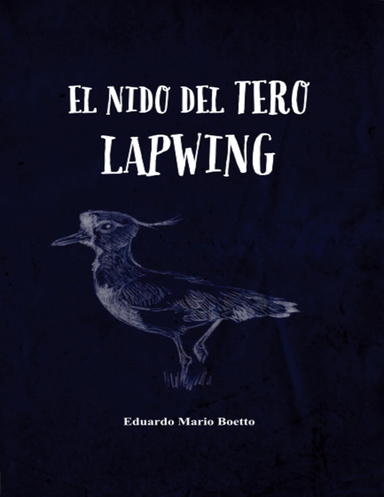 El Nido del Tero: Lapwing