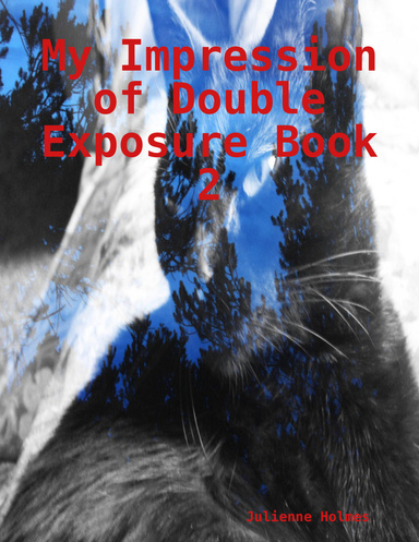 My Impression of Double Exposure Book 2