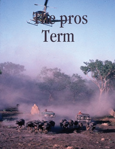 The pros Term