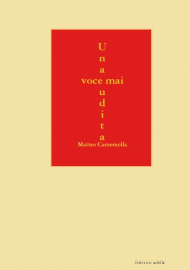 Una voce mai udita