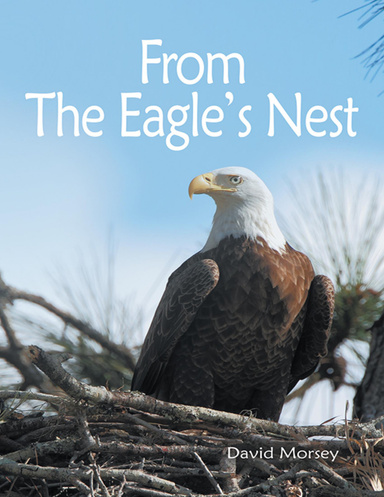 From the Eagle's Nest