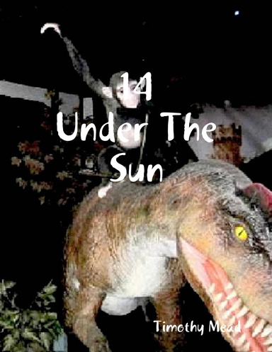 14 Under the Sun