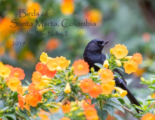 Birds of Santa Marta, Colombia, 2019