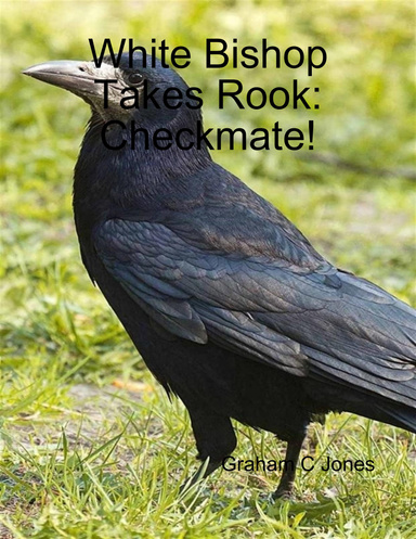 White Bishop Takes Rook: Checkmate!