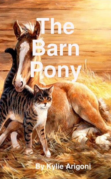 The Barn Pony