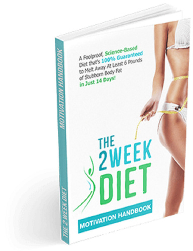 The 2 Week Diet