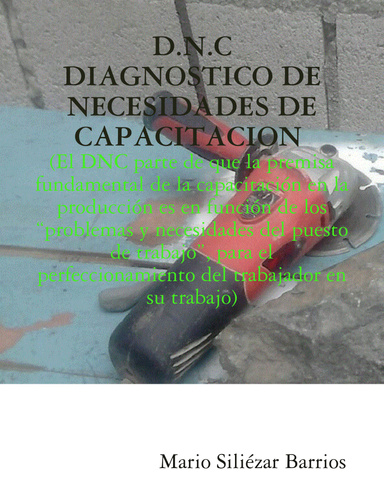 Diagnóstico de Necesidades de Capacitación: DNC TRIPLE DIAGNOSTICO