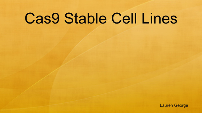 Cas9 Stable Cell Lines
