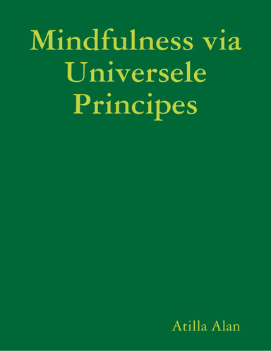 Mindfulness Via Universele Principes