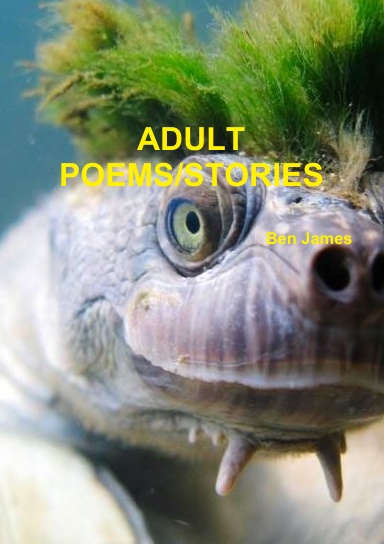 ADULT POEMS/SHORT STORIES