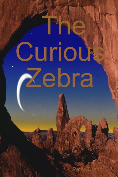 The Curious Zebra