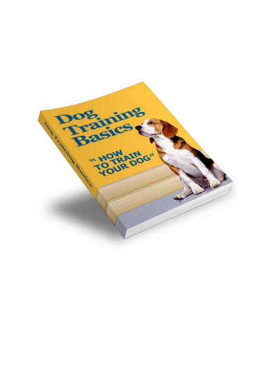 Dog Training