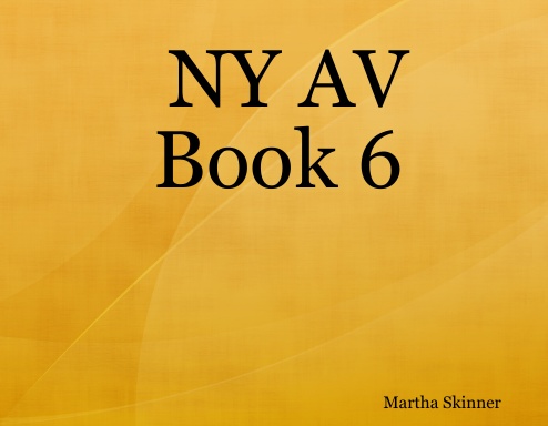 NY AV Book 6