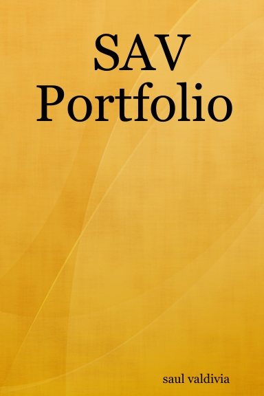 SAV Portfolio