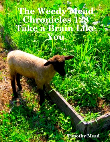 The Weedy Mead Chronicles 128 Take a Brain Like You