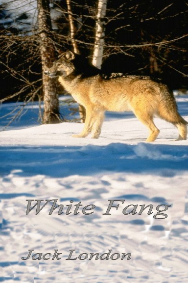 White Fang