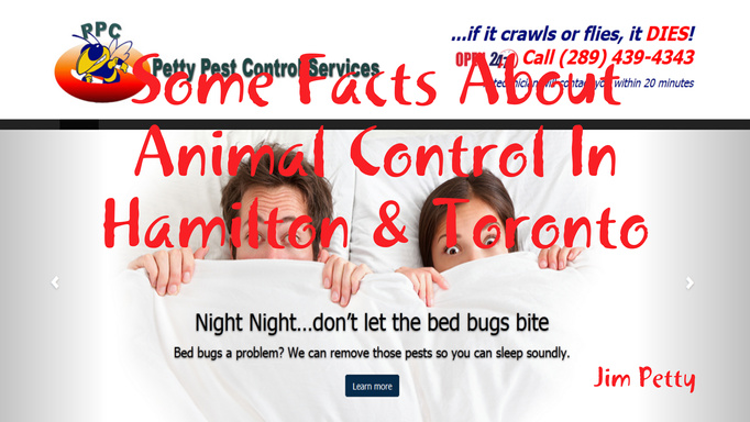 Some Facts About Animal Control In Hamilton & Toronto