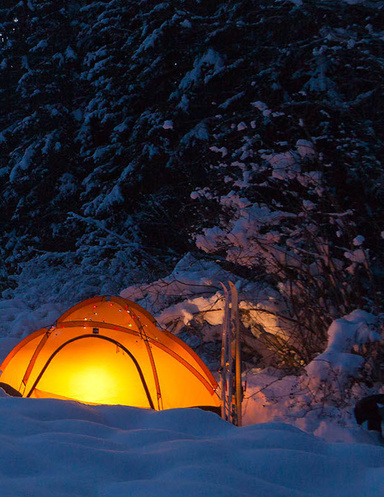 Camping Catfight