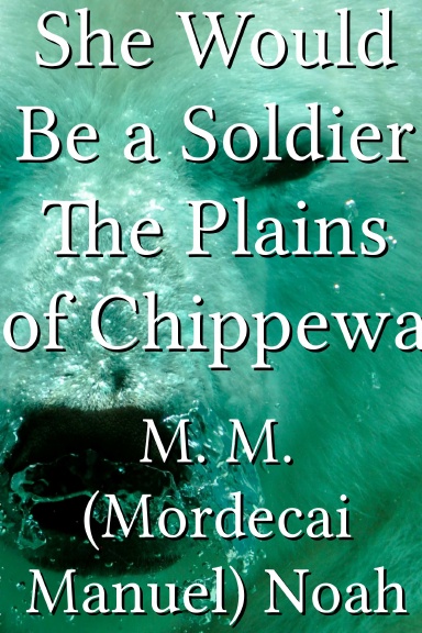 She Would Be a Soldier The Plains of Chippewa