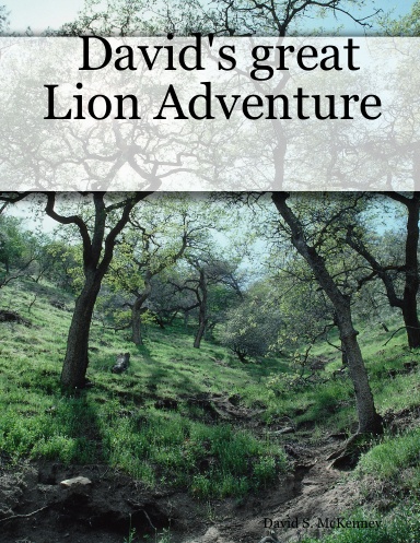 David's great Lion Adventure