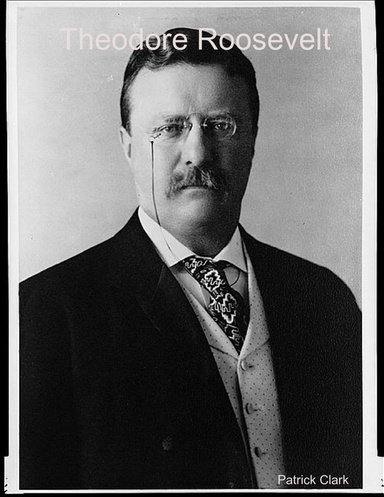 Theodore Roosevelt