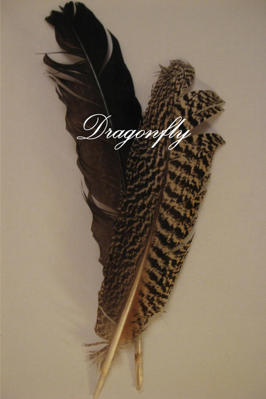 Dragonfly