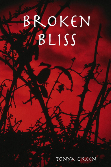 Broken Bliss