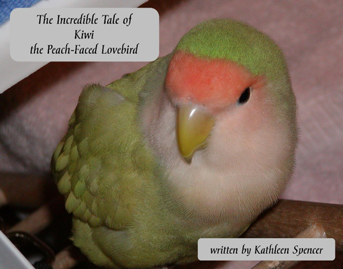 The Incredible Tale of Kiwi the Peach-Faced Lovebird