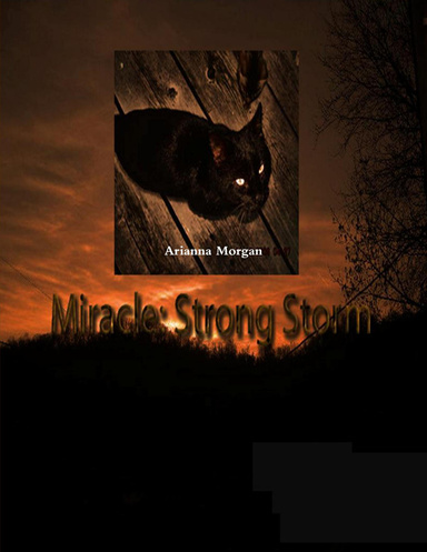Miracle Strong Storm