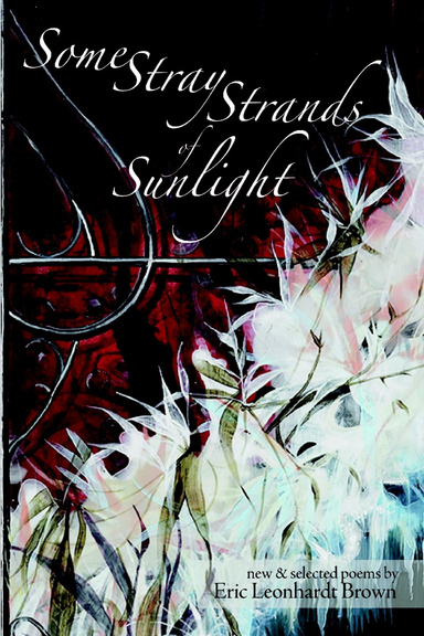 Some Stray Strands of Sunlight