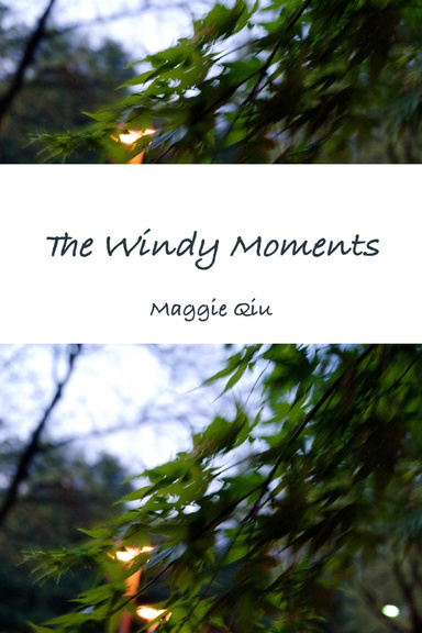 The Moment of Windy