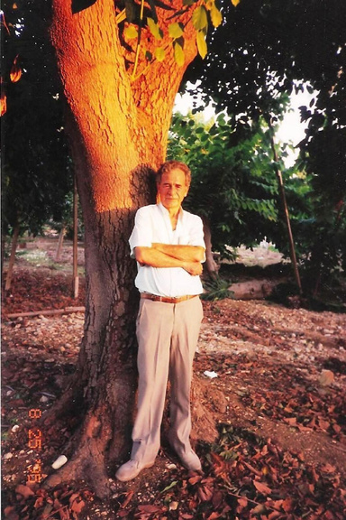 Leave me in a Village