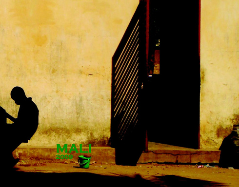 Laura and Luis Mali Book