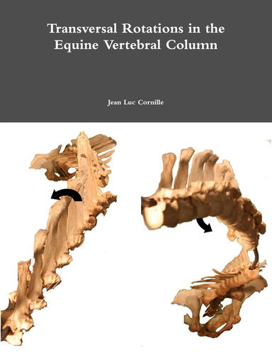 Transversal Rotations in the Equine Vertebral Column