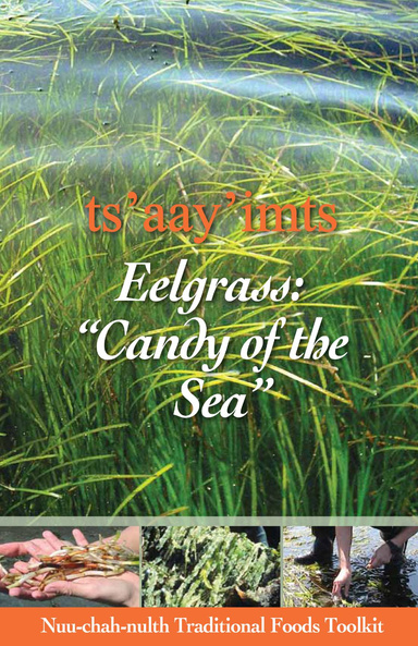 Eelgrass "Candy of the Sea"