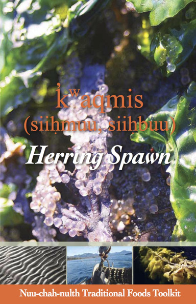 Herring Spawn