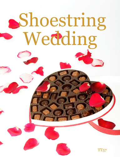 Shoestring Wedding