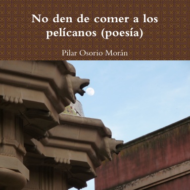 No den de comer a los pelícanos