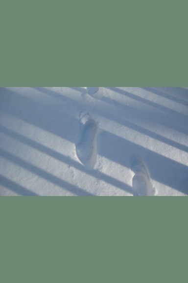 Three Lives and a Rule