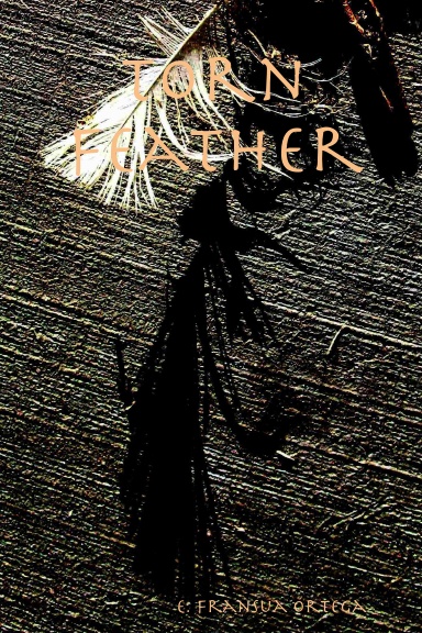 Torn Feather