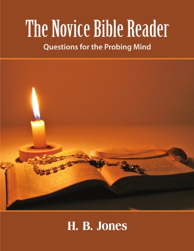 The Novice Bible Reader