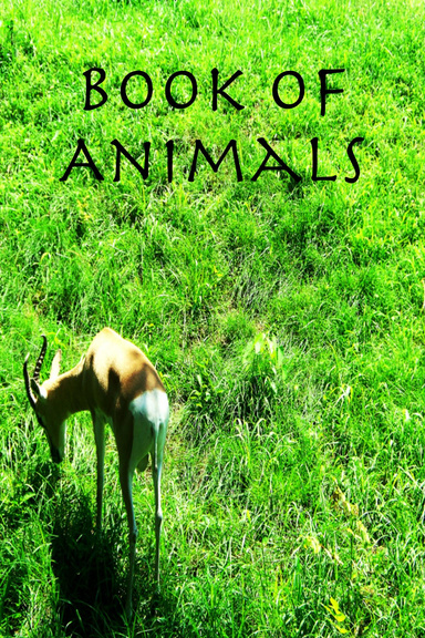 Book Of Animals