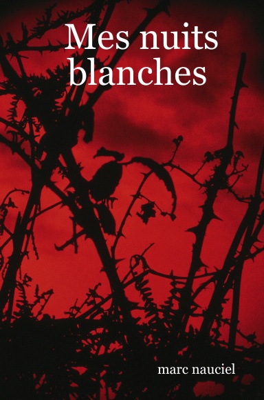 Mes nuits blanches